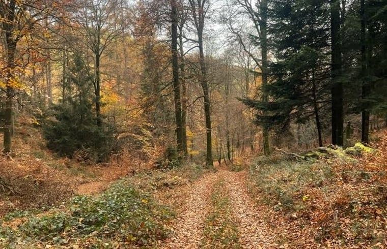 Verblijf 0836404 - Vakantiewoning Ardennen (Namen) - Vakantiehuis in Cornimont