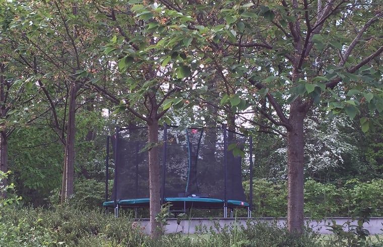 Geniessen Sie die natuerliche Umgebung im Ferienhaus in Heure, Ardennen, Belgien, mit einem Trampolin zwischen den Baeumen fuer Spass im Freien.