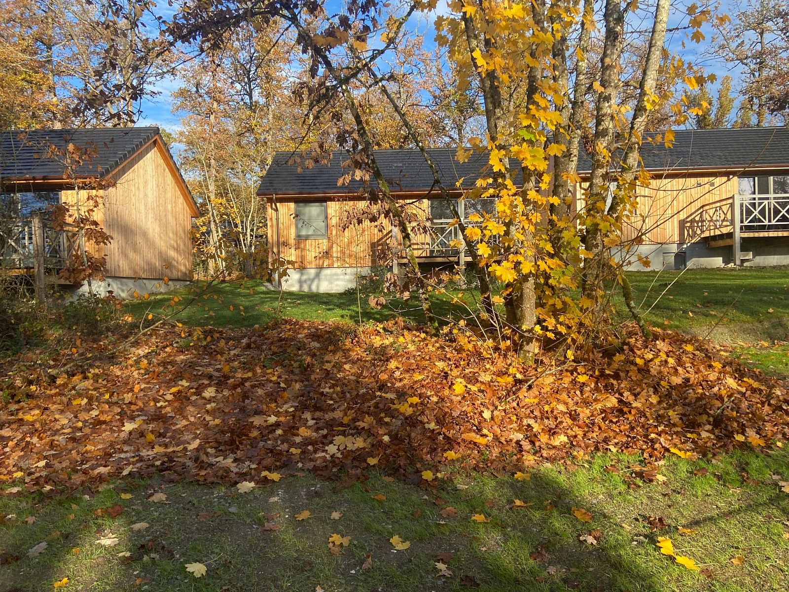 Unterkunft 084816 - Ferienhaus Namur - Vakantiehuis Modernes Chalet für 4 Personen in einem Waldpa