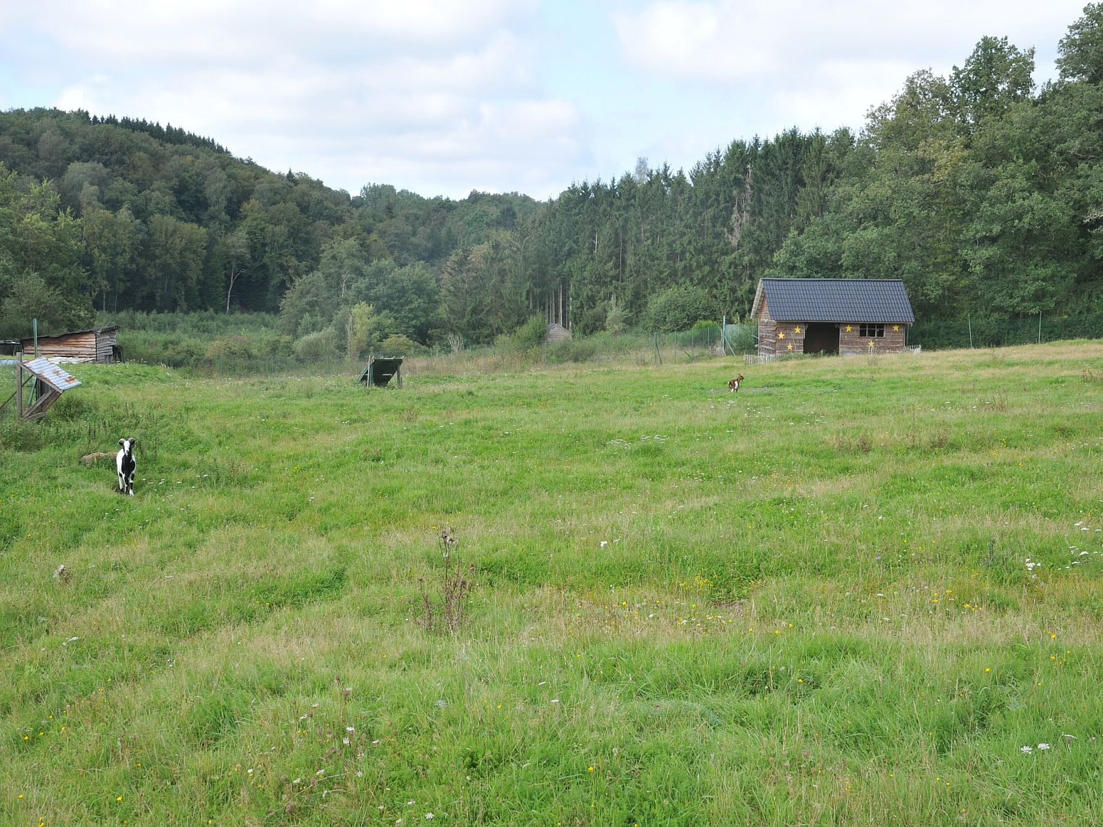 Unterkunft 084818 - Ferienhaus Namur - Le Bochetay 12