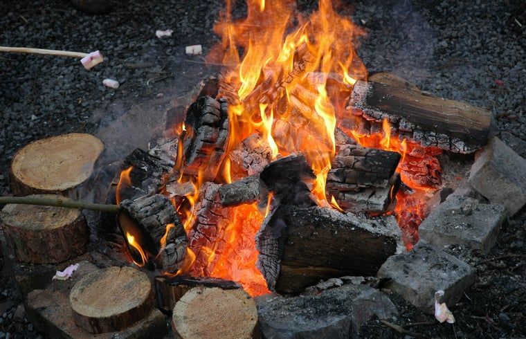 Unterkunft 085604 - Ferienhaus Namur - Huisje in Purnode