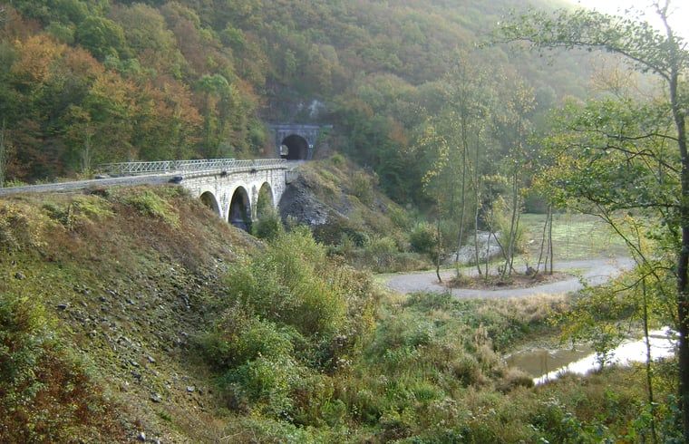 Unterkunft 085604 - Ferienhaus Namur - Huisje in Purnode