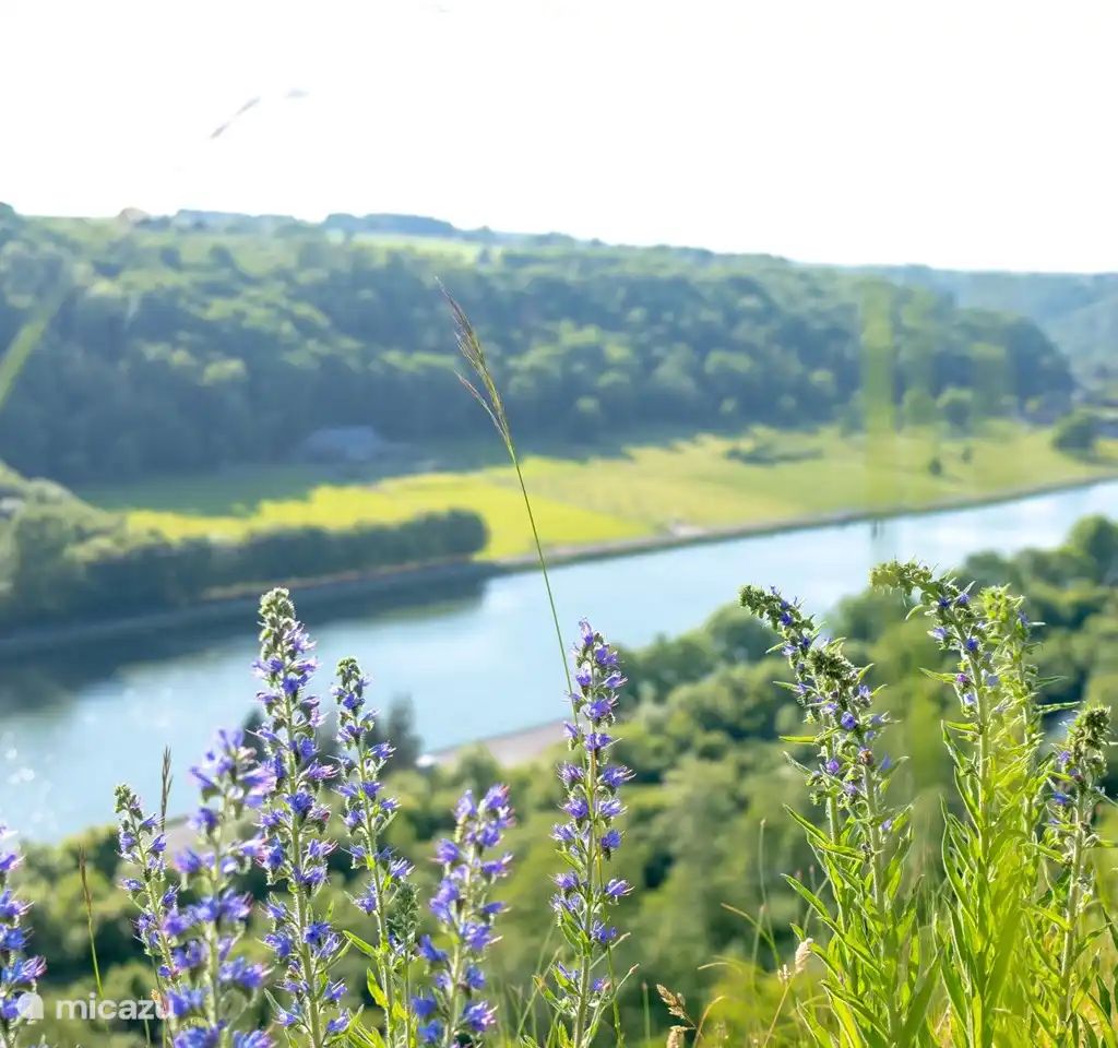 Guest house 086111 - Bungalow Namur - Het retro huisje