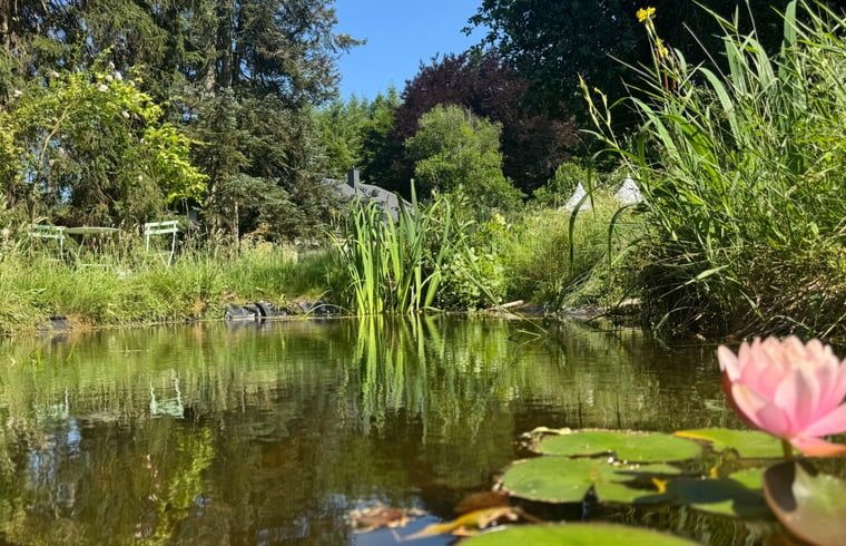 Unterkunft 0911811 - Ferienhaus Luxemburg - Vakantiehuisje in Redu