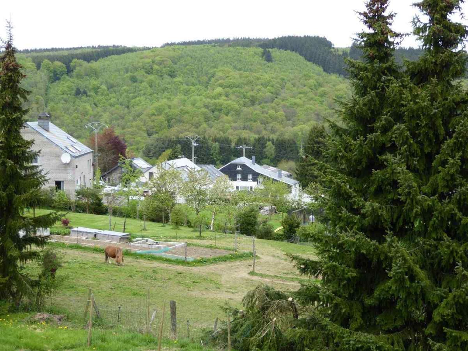 Moderne badkamer in ARD103 vakantiehuis in Dochamps, Ardennen met ruime douche en wastafel.