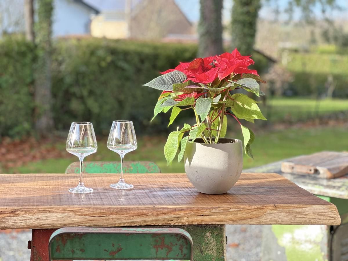 Guest house 091306 - Holiday property Luxembourg - Chez Brigitte