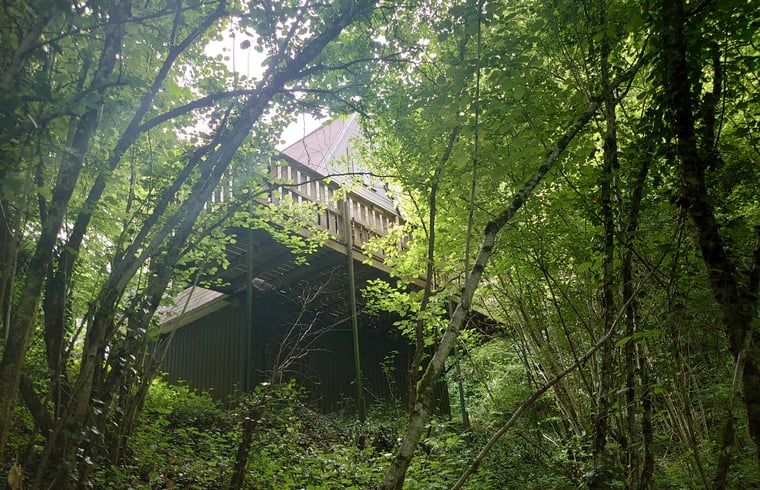 Unterkunft 0913173 - Ferienhaus Luxemburg - Vakantiehuis in Durbuy