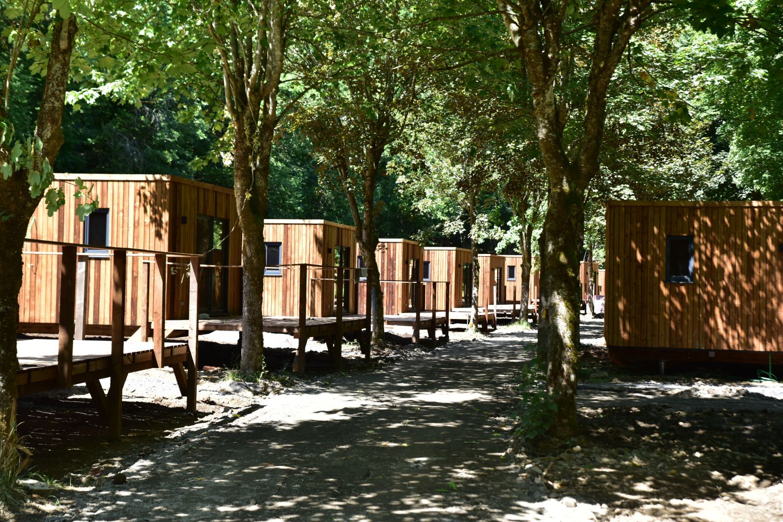 Ecolodge cottages surrounded by green nature in Houffalize, Ardennes, Belgium, ideal for a restful vacation.