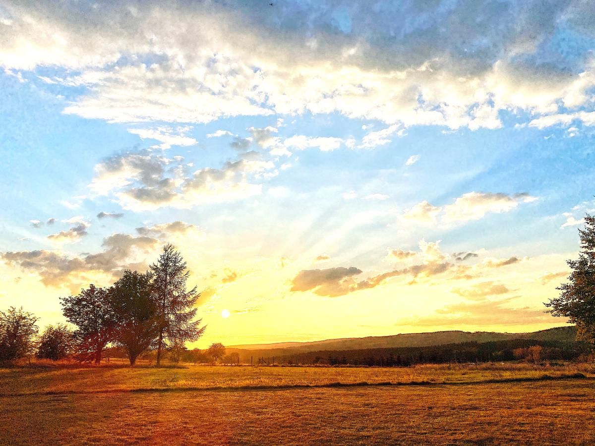 Guest house 092188 - Holiday property Luxembourg - Vakantiehuis Wilogne