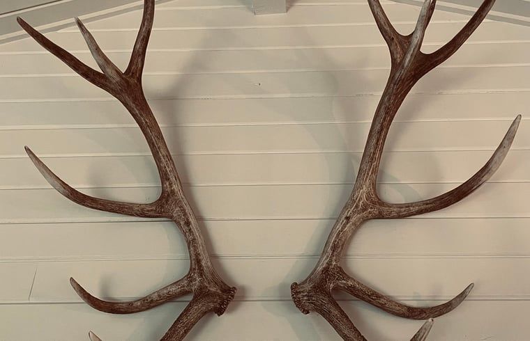 Verblijf 0925554 - Vakantiewoning Ardennen (Luxemburg) - Vakantiehuis in Hubermont