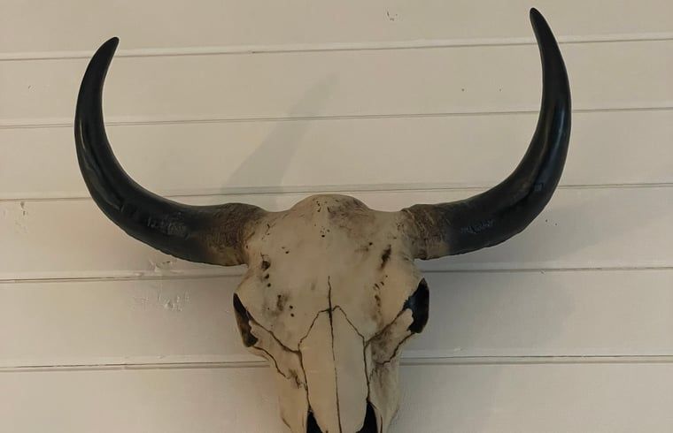 Verblijf 0925554 - Vakantiewoning Ardennen (Luxemburg) - Vakantiehuis in Hubermont