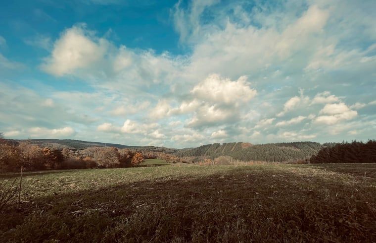 Verblijf 0925554 - Vakantiewoning Ardennen (Luxemburg) - Vakantiehuis in Hubermont
