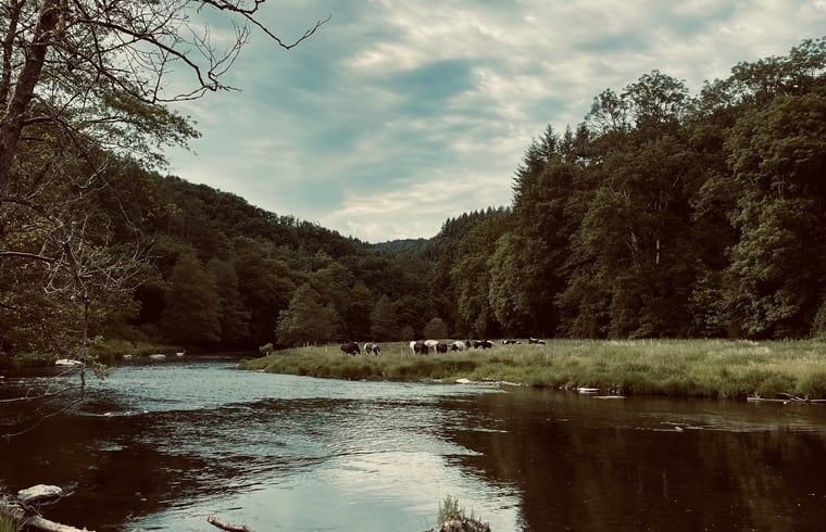 Verblijf 0925554 - Vakantiewoning Ardennen (Luxemburg) - Vakantiehuis in Hubermont