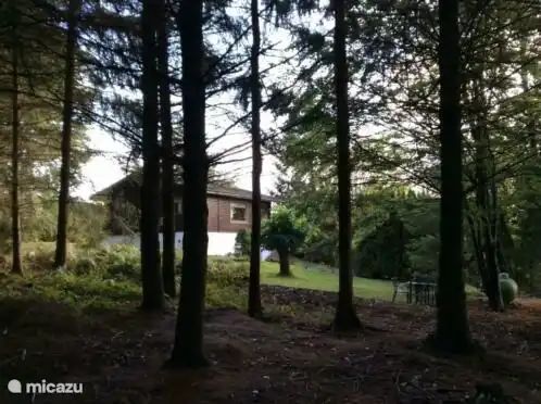 Guest house 0925586 - Chalet Luxembourg - Chalet BuiTen-geWoon