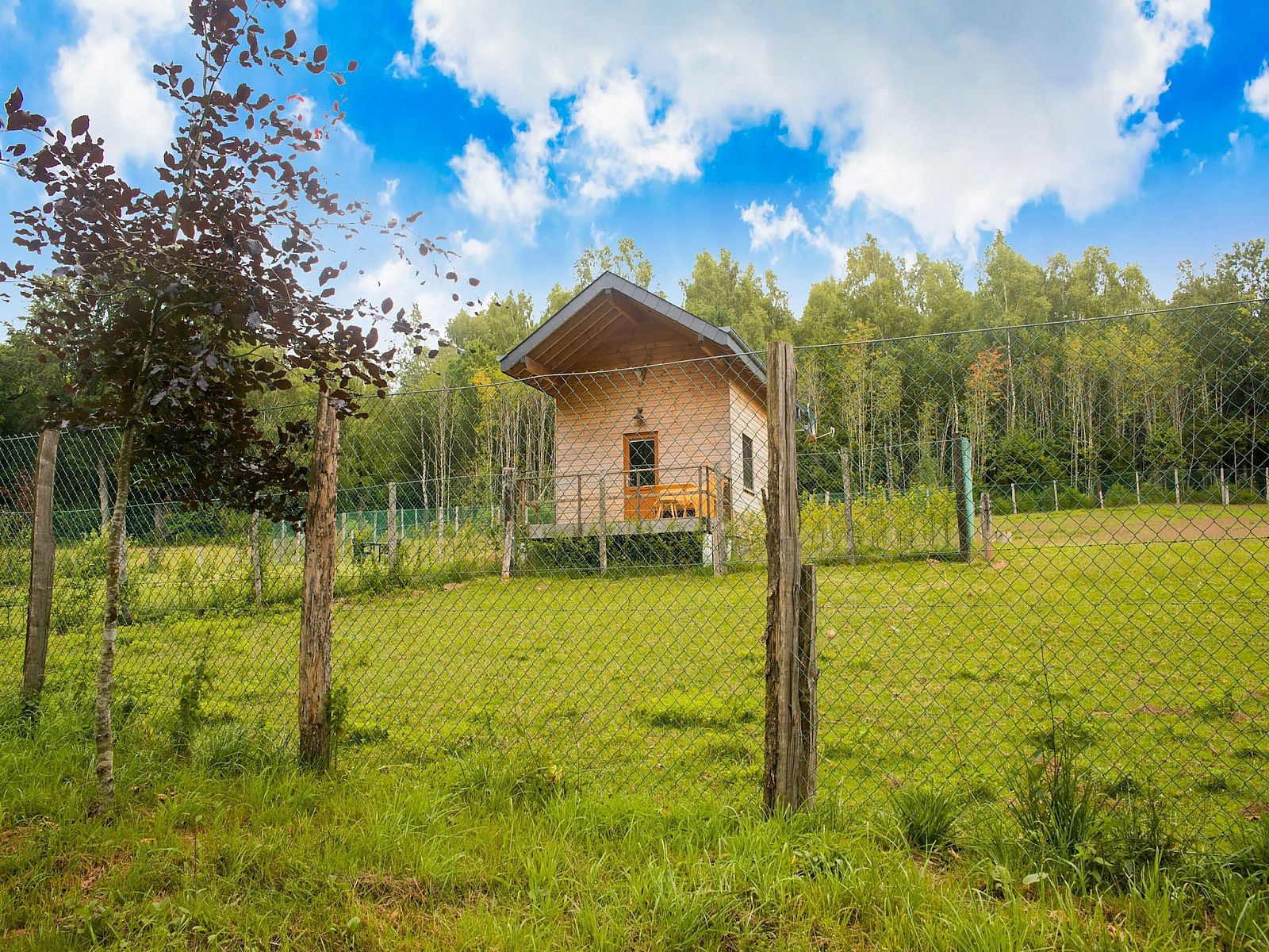 Guest house 093006 - Chalet Luxembourg - Rogery 64