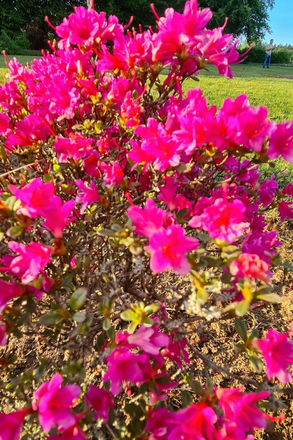 Guest house 0949404 - Holiday property Luxembourg - Vakantiehuis Antre Parenthèse de Sainte-Cécile