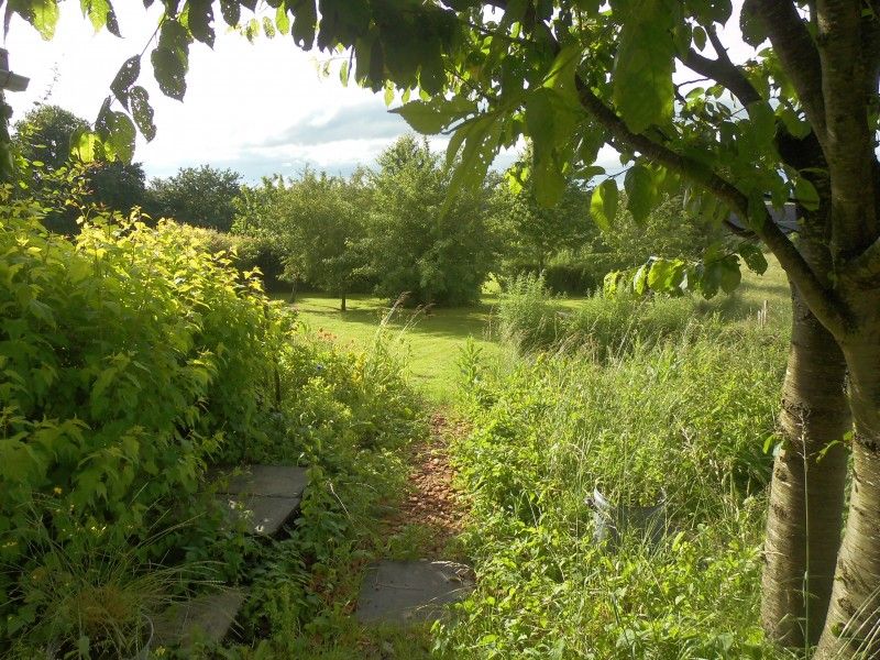 Groene tuin rond La Terra vakantiehuis Durbuy, ideaal voor ontspanning.