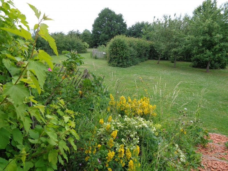 Bloeiende tuin bij La Terra vakantiehuis Durbuy, met kleurrijke bloemen.