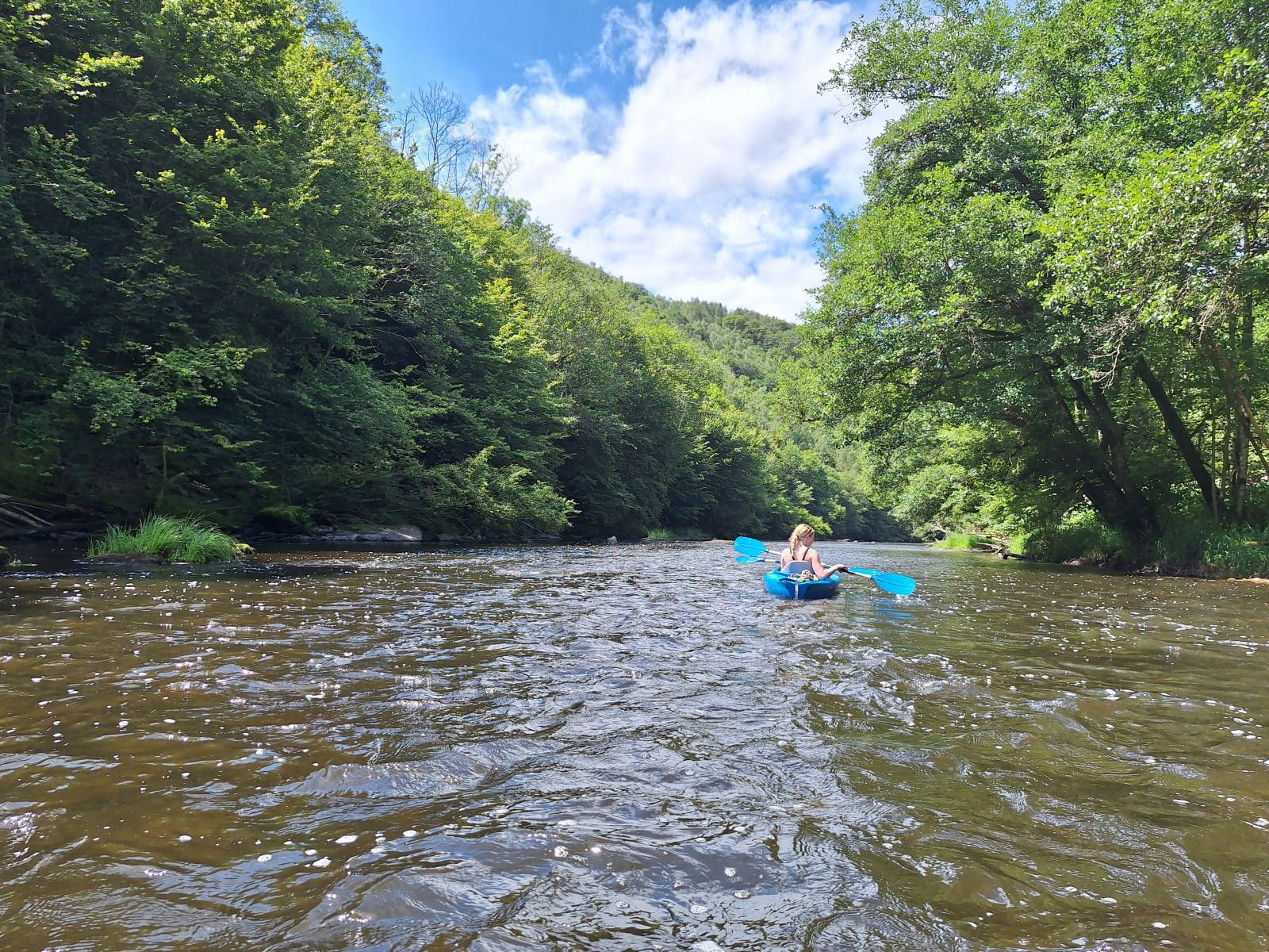Verblijf 096350 - Vakantiewoning Ardennen (Luxemburg) - ARD118