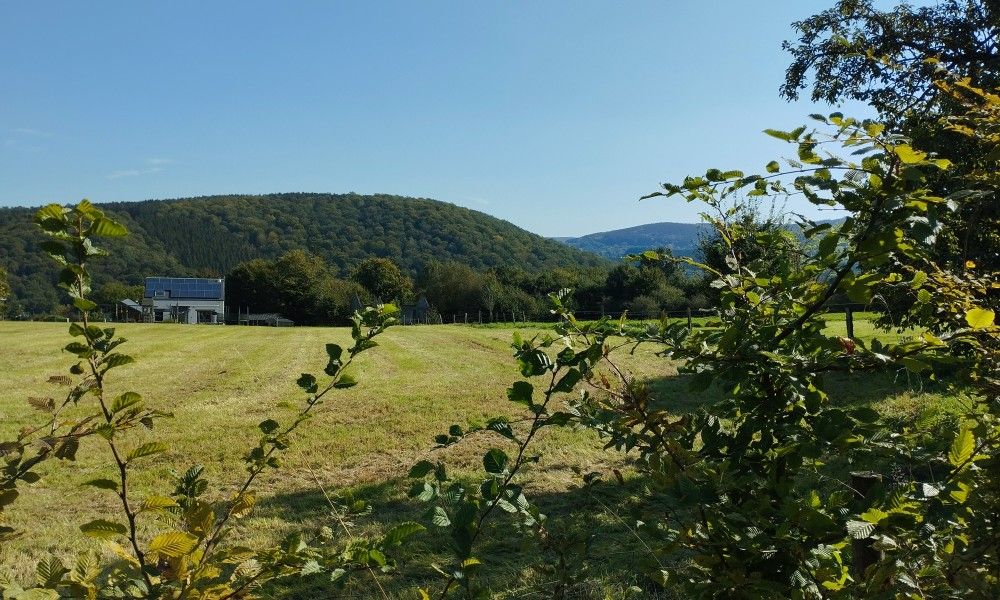 Adembenemend uitzicht op de natuur rond Belle Campagne vakantiehuis, Erezee, Ardennen, Belgie.