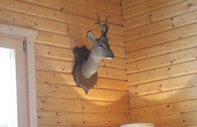 Guest house 096547 - Holiday property Luxembourg - Huisje in Erezée