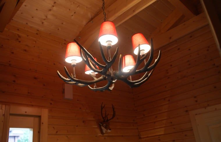 Guest house 096547 - Holiday property Luxembourg - Huisje in Erezée