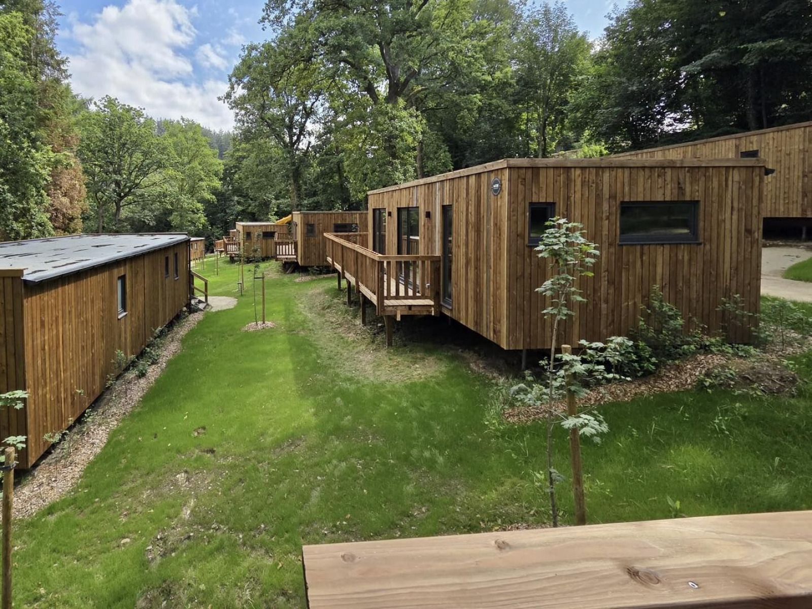 Ecolodge mit 2 Schlafzimmern in Bouillon, Ardennen, Belgien, umgeben von ueppiger Natur und mit einer einladenden Holzterrasse.