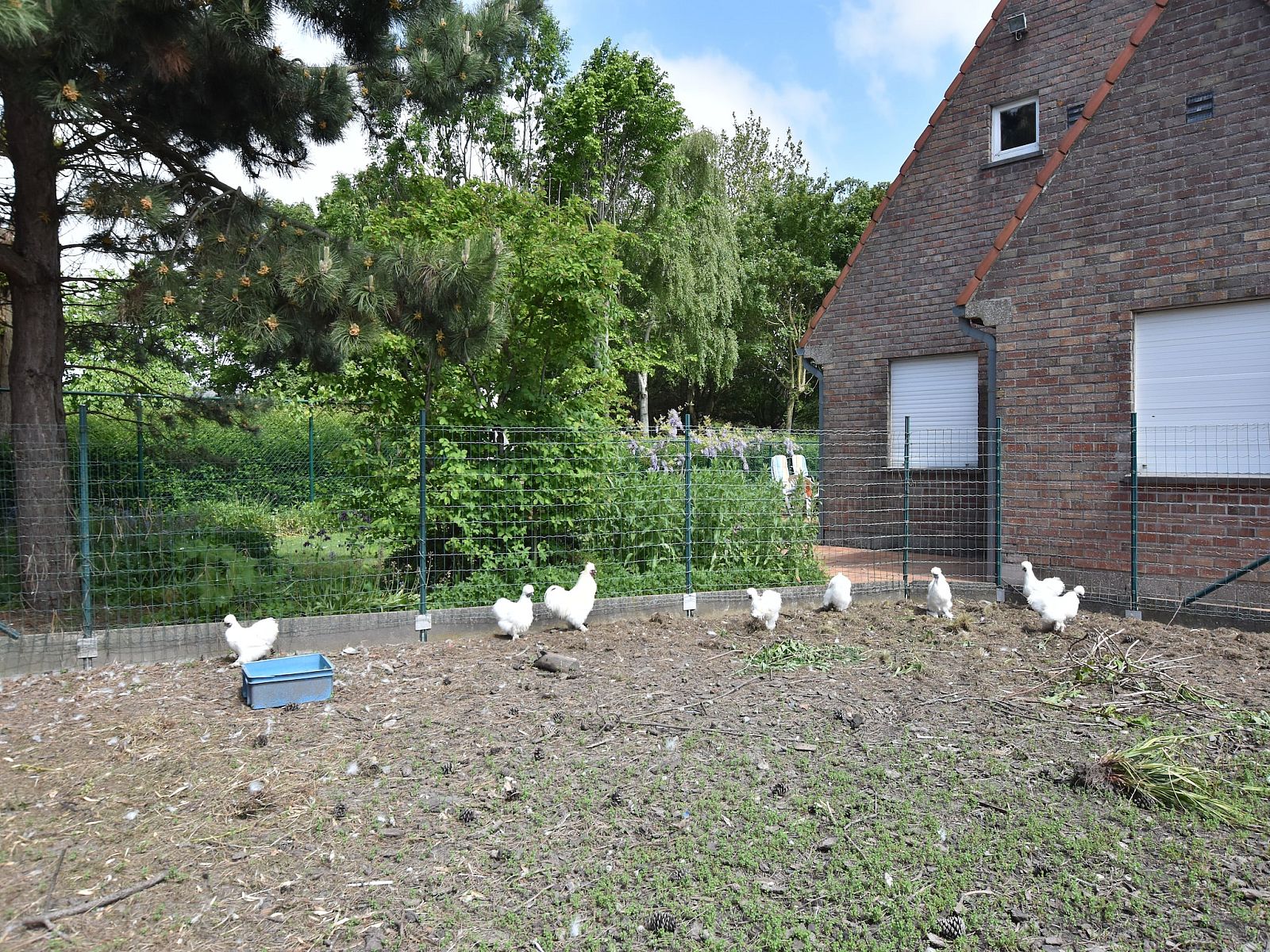 Verblijf 1109141 - Vakantiewoning Belgische kust - Valkenhorst