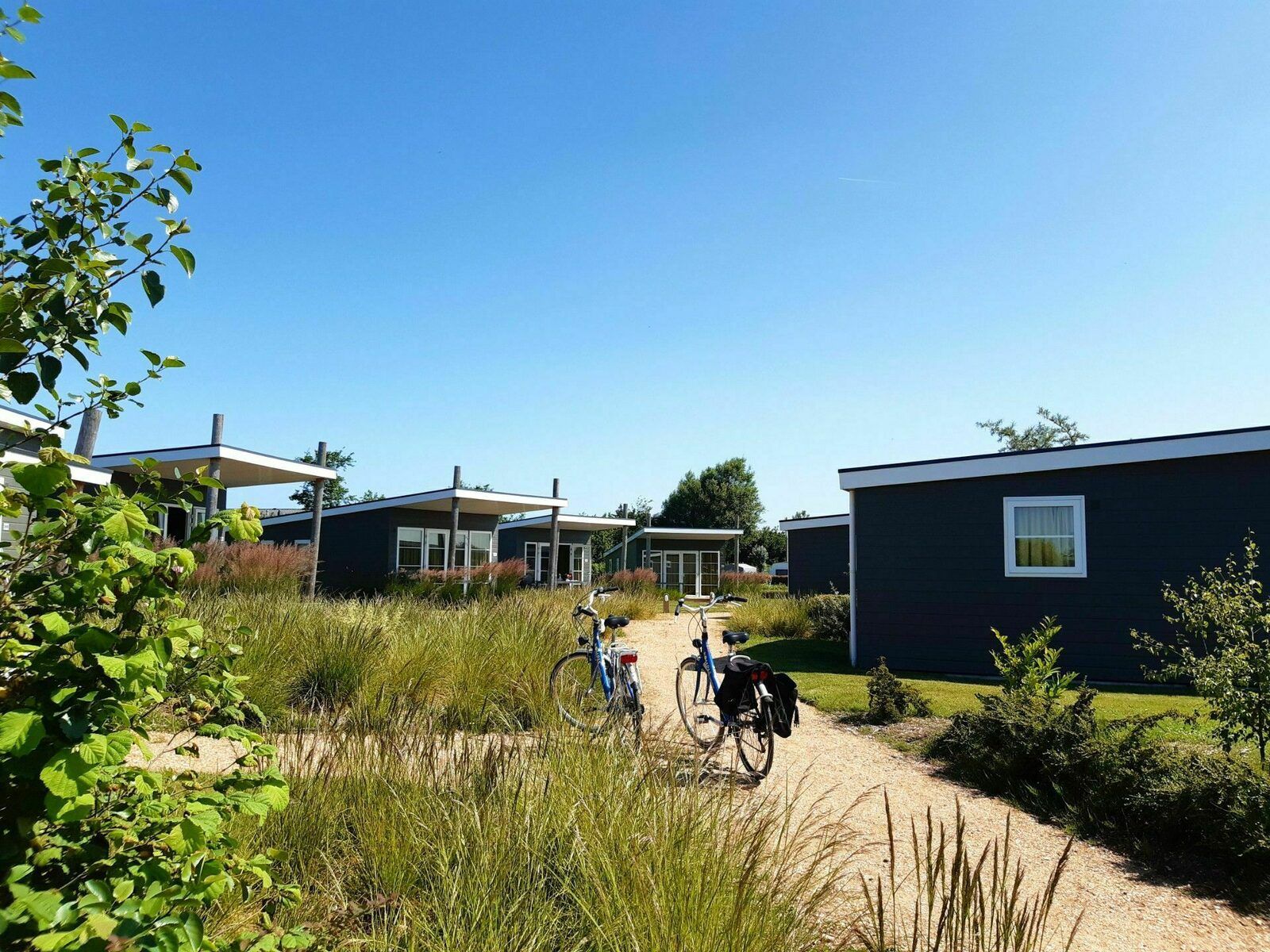 Vakantiewoning Comfort Lodge 6 p.(50 m2) Honden toegelaten