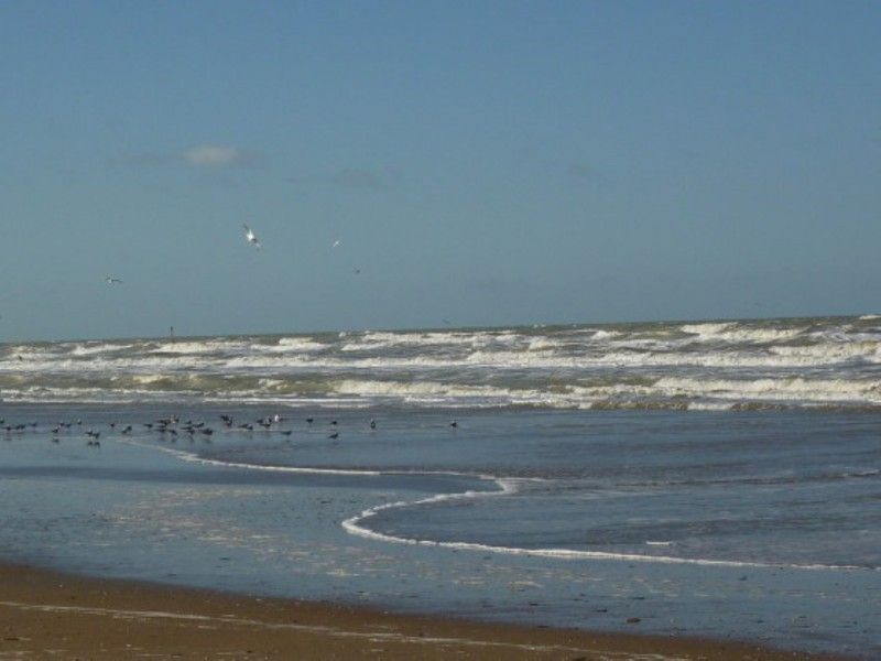 Verblijf 112212 - Vakantiewoning Belgische kust - Duinhoek 70