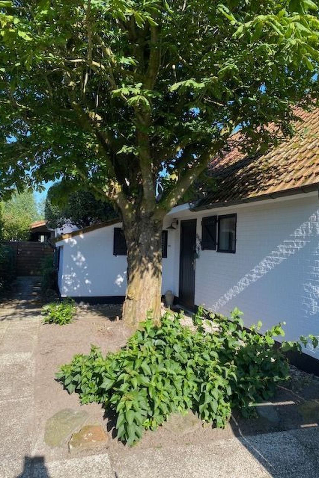 Gemuetlicher Innenhof des Ferienhauses Zonnewind in De Panne, belgische Kueste, mit schattenspendendem Baum und Holzzaun in der Naehe von Duenen und Wald.