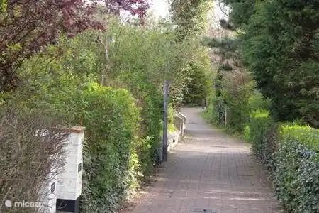 Ein ruhiger Weg inmitten gruener Natur beim Ferienhaus "Quiet Corner" in De Panne an der belgischen Kueste, ideal fuer entspannte Spaziergaenge.