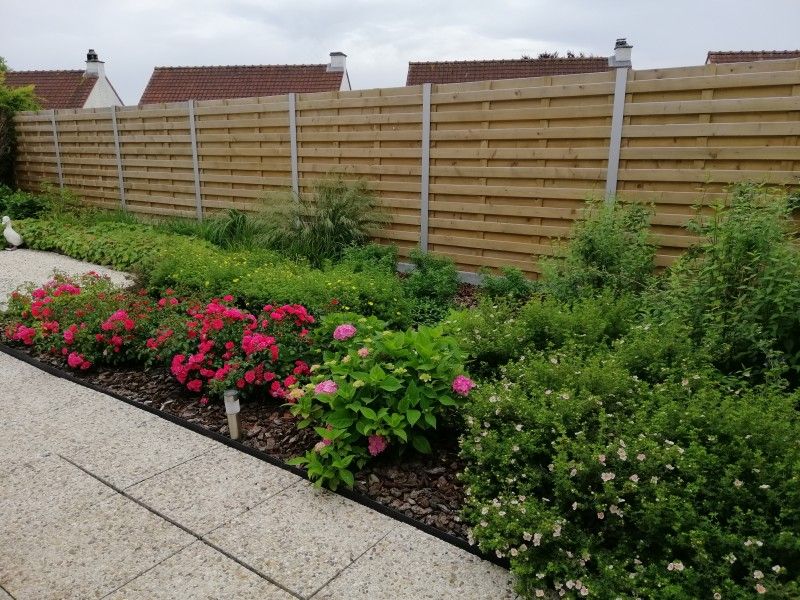 Bunte Blumen im Garten von Duinendaele 272, Adinkerke, De Panne, belgische Kueste.