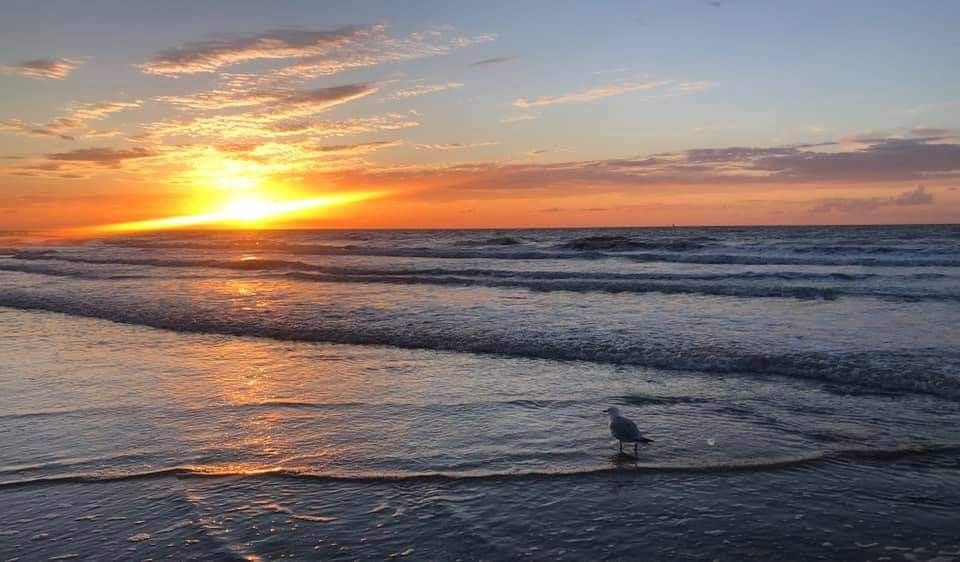 Sonnenuntergang an der belgischen Kueste bei Duinendaele 272, Adinkerke, De Panne.
