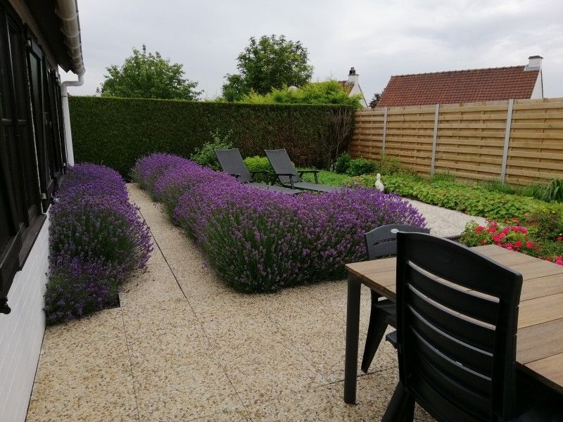 Lavendelweg im Garten von Duinendaele 272, Adinkerke, De Panne, belgische Kueste.