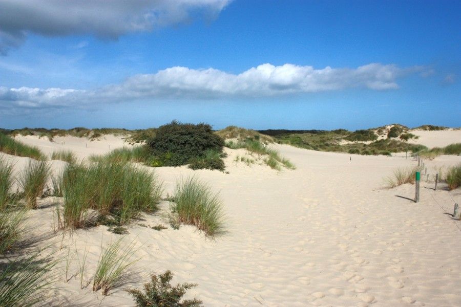 Weite Duenen bei Duinendaele 272, Adinkerke, De Panne, belgische Kueste.