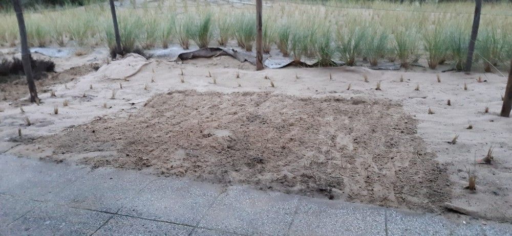 Sand Garden at Sunset by the Sea apartment in De Panne, overlooking the dunes on the Belgian coast.