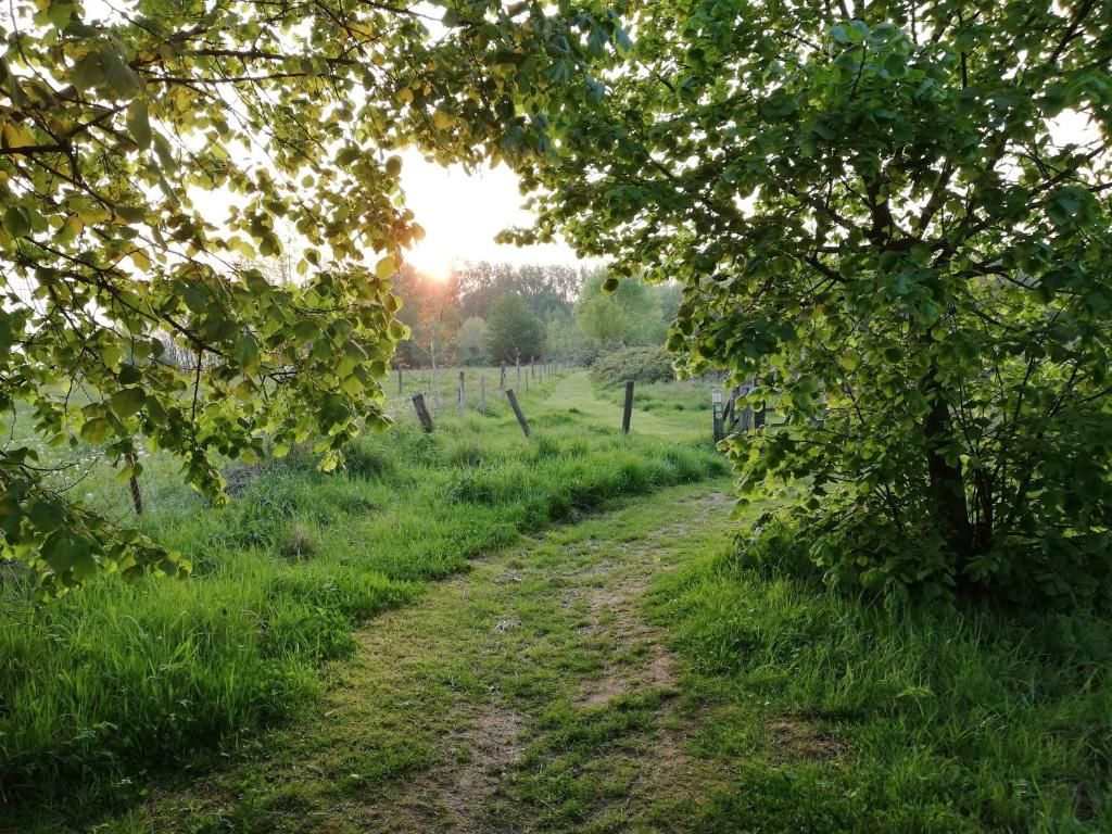 Guest house 140206 - Bed and Breakfast East Flanders - B&amp;B 't Huys van Enaeme