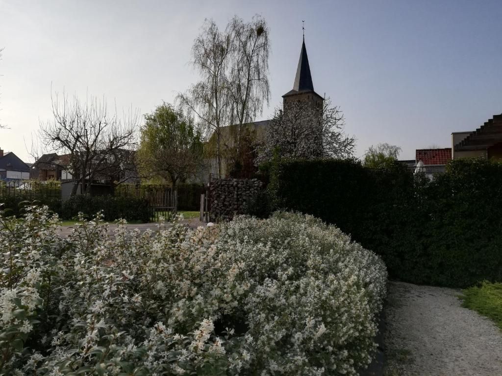 Guest house 140206 - Bed and Breakfast East Flanders - B&amp;B 't Huys van Enaeme