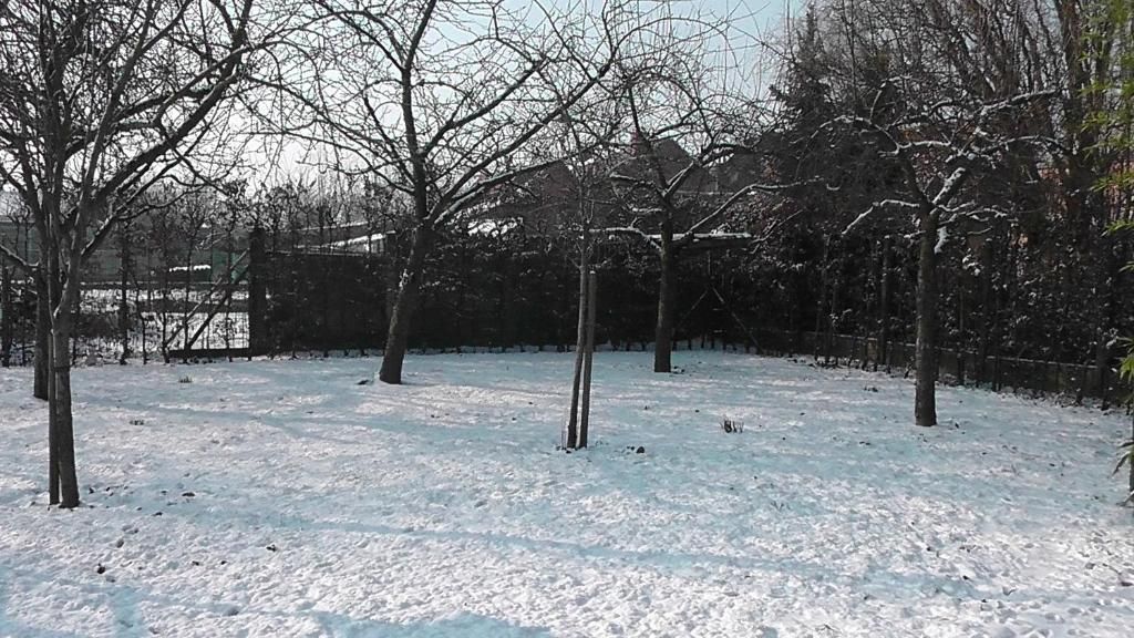 Guest house 140206 - Bed and Breakfast East Flanders - B&amp;B 't Huys van Enaeme