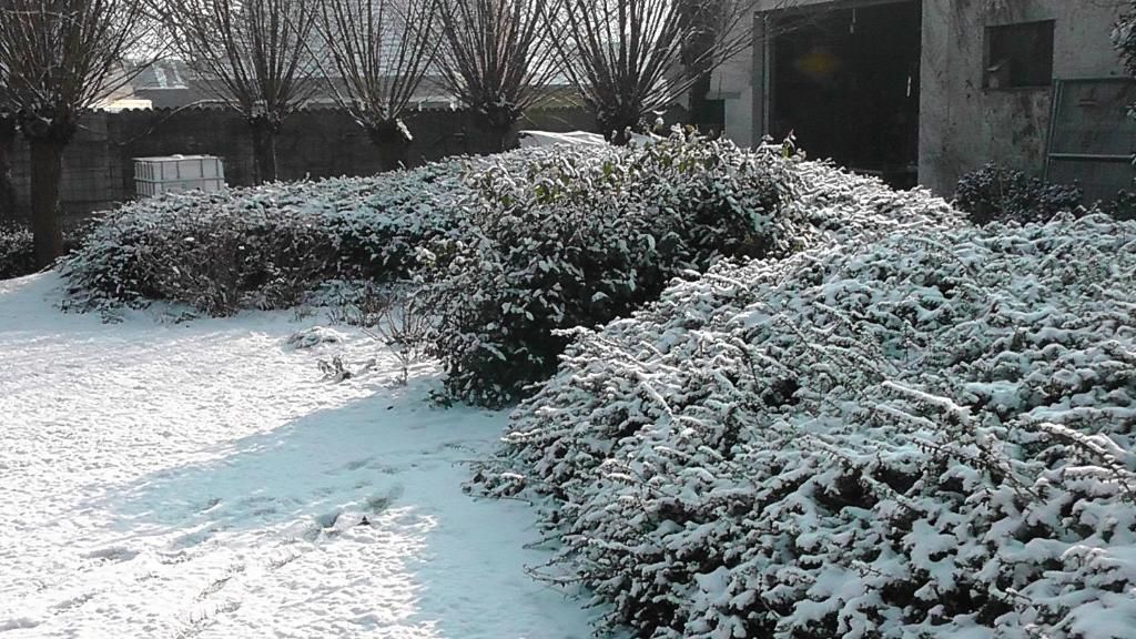 Guest house 140206 - Bed and Breakfast East Flanders - B&amp;B 't Huys van Enaeme