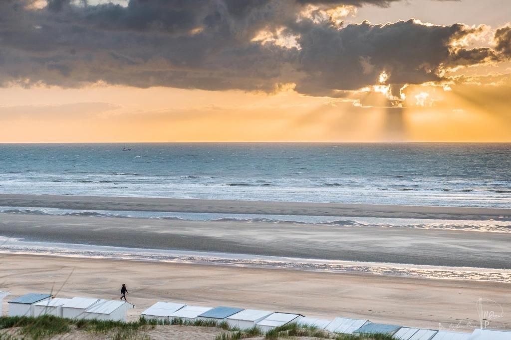 Guest house 401128 - Holiday property Belgian Coast - Apart! &amp; Moment!