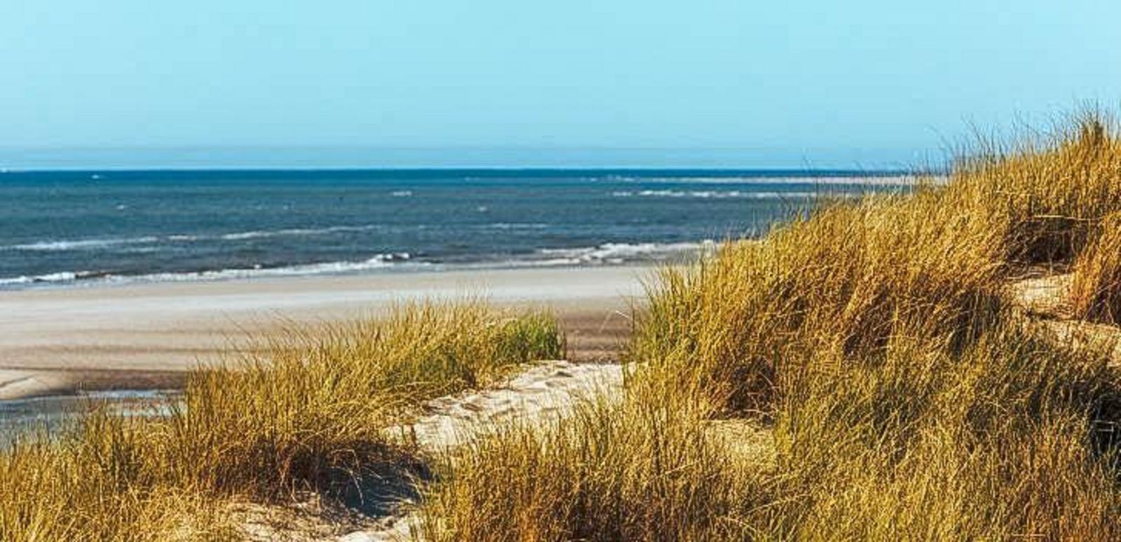 Verblijf  - Vakantieparken Belgische kust - Holidaysuites.nl