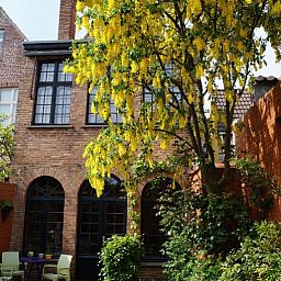 Guest house 0101143 - Bed and Breakfast West Flanders - B&B Next Door