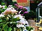 Unterkunft 010188 • Appartement Westflandern • Hotel Montovani  • 13 von 26