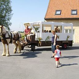 Guest house 011301 • Holiday property West Flanders • vakantiehoeve briesland  • 4 of 8