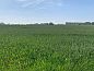 Guest house 011307 • Holiday property West Flanders • Vakantiehuisje in Alveringem  • 14 of 16