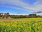 Guest house 021408 • Holiday property East Flanders • Huisje in Oudenaarde  • 6 of 26