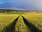 Guest house 021408 • Holiday property East Flanders • Huisje in Oudenaarde  • 9 of 26