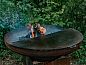 Guest house 034606 • Holiday property Flemish Brabant • Huisje in Alsemberg  • 11 of 23